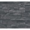 AS 388134 Tapeten A.S Creation Farbe Schwarz Anthrazit   Elements II Satintapete