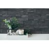 AS 388134 Tapeten A.S Creation Farbe Schwarz Anthrazit   Elements II Satintapete
