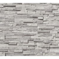 AS 388162 Tapeten A.S Creation Farbe Hellgrau Beige Silber  Elements II Vliestapete