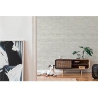 AS 355814 Tapeten A.S Creation Farbe Grau    Elements II Vinyltapete
