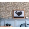 AS 389343 Tapeten A.S Creation Farbe Braun Grau Beige  Elements II Satintapete