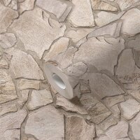 AS 389312 Tapeten A.S Creation Farbe Beige Grau Braun  Elements II Satintapete