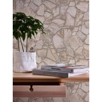 AS 389312 Tapeten A.S Creation Farbe Beige Grau Braun  Elements II Satintapete