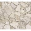 AS 389312 Tapeten A.S Creation Farbe Beige Grau Braun  Elements II Satintapete