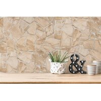 AS 389329 Tapeten A.S Creation Farbe Beige Braun   Elements II Satintapete