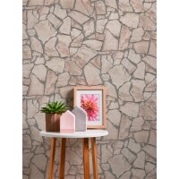 AS 927323 Tapeten A.S Creation Farbe Beige Grau Braun  Elements II Vinyltapete