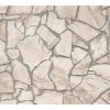 AS 927323 Tapeten A.S Creation Farbe Beige Grau Braun  Elements II Vinyltapete
