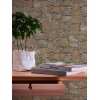 AS 958631 Tapeten A.S Creation Farbe Braun Beige Schwarz  Elements II Vinyltapete