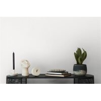 AS 363792 Tapeten A.S Creation Farbe Weiß     Pure Elegance Vliestapete