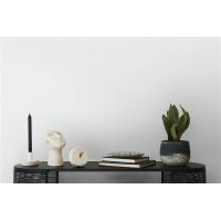 AS 397782 Tapeten A.S Creation Farbe Weiß     Pure Elegance Profiltapete