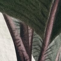 P250-VD4 Tapeten Komar Pure 2 Jungle Spot Farbe Grün Vlies Fototapete