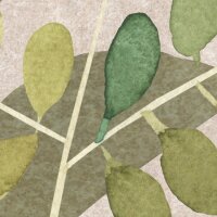 P255-VD4 Tapeten Komar Pure 2 Foggy Shrub Farbe Pastell Vlies Fototapete