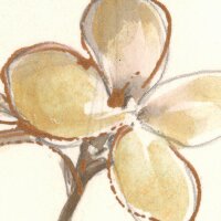 P267-VD2 Tapeten Komar Pure 2 Vintage Chrysanthemum Farbe Beige,Gold Vlies Fototapete