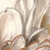 P267-VD2 Tapeten Komar Pure 2 Vintage Chrysanthemum Farbe Beige,Gold Vlies Fototapete