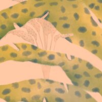 P274-VD3 Tapeten Komar Pure 2 Safari Pattern Farbe Bunt Vlies Fototapete