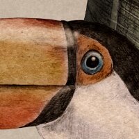 P279-VD4 Tapeten Komar Pure 2 Tiger Jungle Farbe Grün Vlies Fototapete