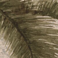 P279-VD4 Tapeten Komar Pure 2 Tiger Jungle Farbe Grün Vlies Fototapete