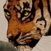 P279-VD4 Tapeten Komar Pure 2 Tiger Jungle Farbe Grün Vlies Fototapete
