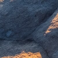 PSH104-VD4 Tapeten Komar Pure 2 Elephant Skin Farbe Grau Vlies Fototapete