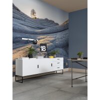 PSH104-VD4 Tapeten Komar Pure 2 Elephant Skin Farbe Grau Vlies Fototapete