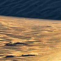 PSH105-VD5 Tapeten Komar Pure 2 Body Lines Farbe Beige,Grau Vlies Fototapete