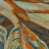 PSH111-VD4 Tapeten Komar Pure 2 Amazonia Vibes Farbe Grün Vlies Fototapete