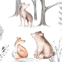 IAX8-0034 Tapeten Komar Into Wonderland Cozy Woods Farbe...