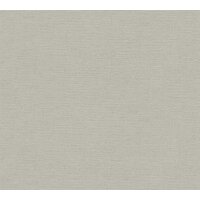 AS 306894 Tapeten A.S Creation Farbe Grau    PintWalls II Vliestapete