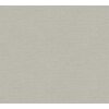 AS 306894 Tapeten A.S Creation Farbe Grau    PintWalls II Vliestapete