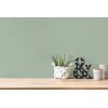 AS 371788 Tapeten A.S Creation Farbe Grün    PintWalls II Vliestapete