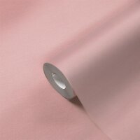 AS 389042 Tapeten A.S Creation Farbe Rosa    PintWalls II Vliestapete