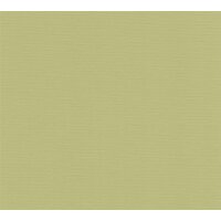 AS 390974 Tapeten A.S Creation Farbe Grün    PintWalls II Vliestapete