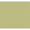 AS 390974 Tapeten A.S Creation Farbe Grün    PintWalls II Vliestapete