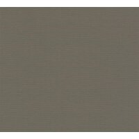AS 390977 Tapeten A.S Creation Farbe Braun    PintWalls II Vliestapete