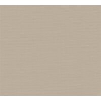 AS 390983 Tapeten A.S Creation Farbe Braun Beige   PintWalls II Vliestapete