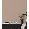 AS 390983 Tapeten A.S Creation Farbe Braun Beige   PintWalls II Vliestapete