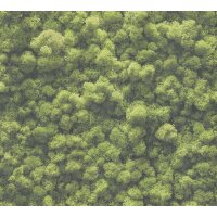 AS 394051 Tapeten A.S Creation Farbe Grün    PintWalls II Vliestapete