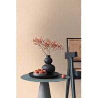 AS 395656 Tapeten A.S Creation Farbe Rosa    PintWalls II Vliestapete