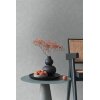 AS 395659 Tapeten A.S Creation Farbe Grau    PintWalls II Vliestapete