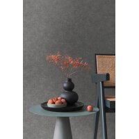 AS 395663 Tapeten A.S Creation Farbe Anthrazit Grau   PintWalls II Vliestapete