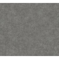 AS 395663 Tapeten A.S Creation Farbe Anthrazit Grau   PintWalls II Vliestapete