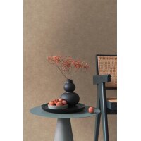 AS 395666 Tapeten A.S Creation Farbe Braun    PintWalls II Vliestapete