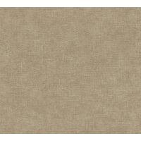 AS 395666 Tapeten A.S Creation Farbe Braun    PintWalls II Vliestapete
