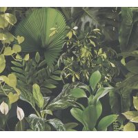 AS 396981 Tapeten A.S Creation Farbe Grün Schwarz   PintWalls II Vliestapete