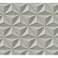 AS 397001 Tapeten A.S Creation Farbe Grau Weiß   PintWalls II Vliestapete