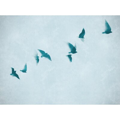 AS 399231 Tapeten A.S Creation Farbe Blau     THE WALL III Vliestapete