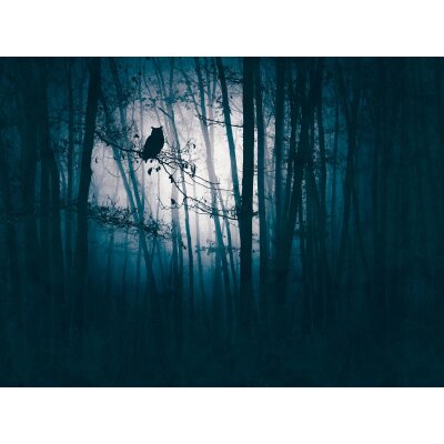 AS 399091 Tapeten A.S Creation Farbe Blau Schwarz    THE WALL III Vliestapete