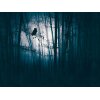 AS 399091 Tapeten A.S Creation Farbe Blau Schwarz    THE WALL III Vliestapete