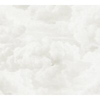 AS 399852 Tapeten A.S Creation Farbe Creme Weiß    Michalsky 6 Satintapete