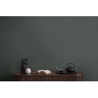 AS 399861 Tapeten A.S Creation Farbe Grau Anthrazit    Michalsky 6 Satintapete